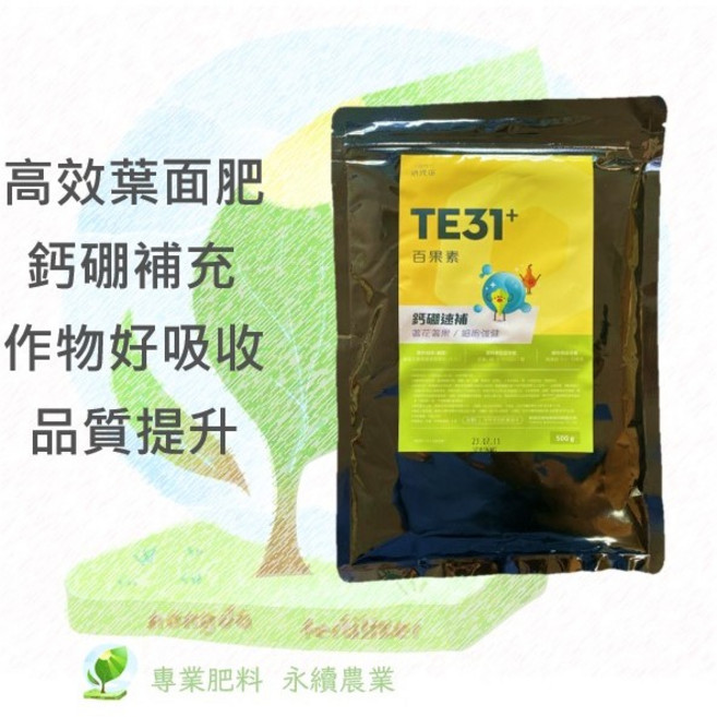 納提諾 TE31+ 高效葉面肥 鈣硼速補 著花著果 細胞強健 500克, 1個