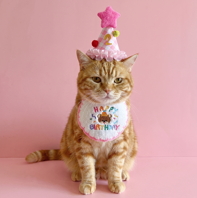 제노리 반려동물 강아지 고양이 생일 파티 케이프 모자 세트, 핑크, 1개