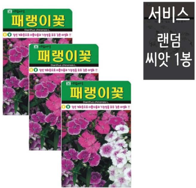 패랭이꽃씨앗 500립 ( 3봉 + 랜덤씨앗1봉 ) 패랭이꽃 꽃씨앗 꽃씨 야생화, 1개