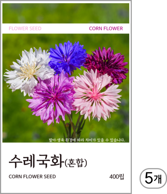 수레국화(혼합) 씨앗 400립, 5개