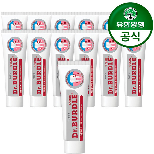 닥터버들 잇몸케어 치약, 100g, 13개