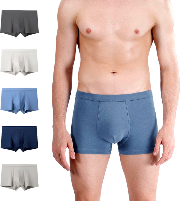 Le Gou 남성 드로즈 팬티 면팬티 5종 세트 순면 남자 속옷 사계절용