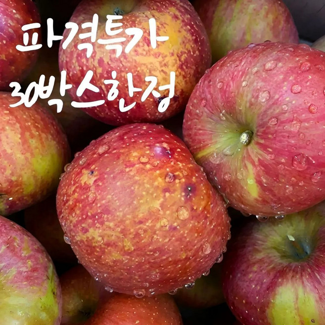 [하루30박스] 경북 고당도 못난이 사과, 1박스, 3kg