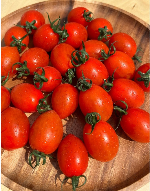 칠갑산 대추방울토마토 로얄과 산지직송 신선한 방울토마토, 1개, 3kg