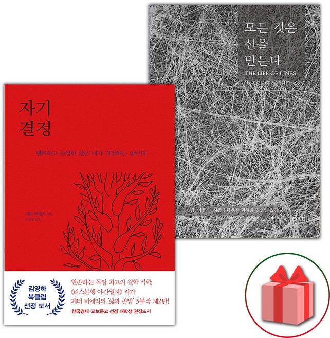 자기 결정 + 모든 것은 선을 만든다 세트