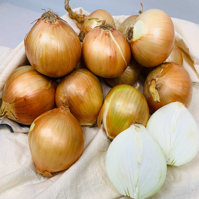 농부곳간 국내산 햇 무안 양파 속이 단단한 양파, 1개, 양파대3kg