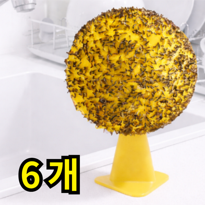 아크배라 초파리 트랩 끈끈이 날파리 파리 해충 퇴치 포충 트랩, 6개, 32g