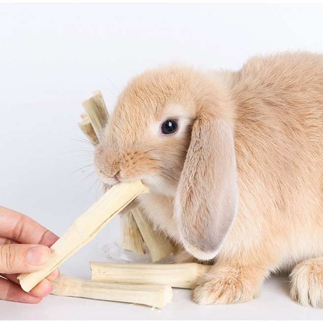 천연 건조 사탕수수 이갈이 스틱 앵무새 친칠라 토끼 햄스터 데구, 천연 건조 사탕수수 스틱 30g, 1개