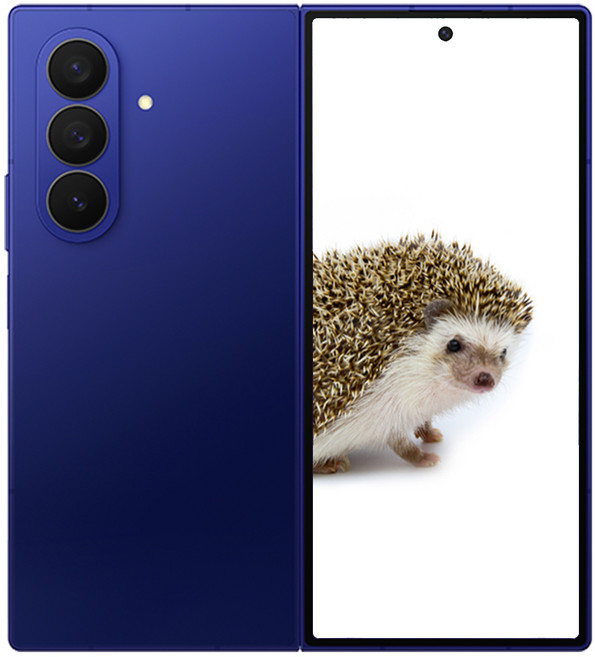 삼성전자 갤럭시 Z 폴드7, 256GB