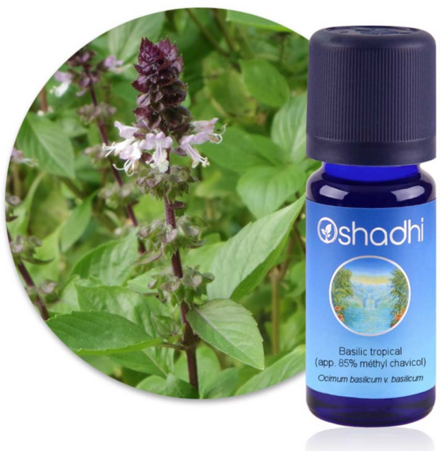 바질 에센셜오일 오샤디 프랑스약국판매정품 5ml 10ml 30ml, 1개