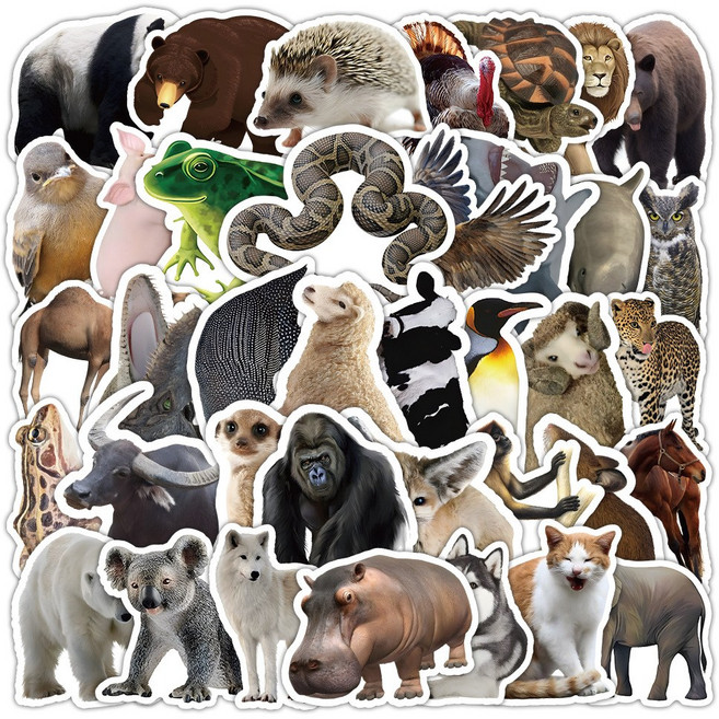 라온스티커 53매입 실제동물 방수스티커 세트, 1세트, 혼합(S21128)53P