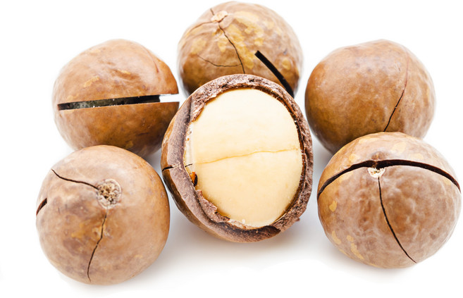 2026년 통관 최상급 프리미엄 생 통 껍질 마카다미아 베트남 최신 통관 견과류, 2개, 500g