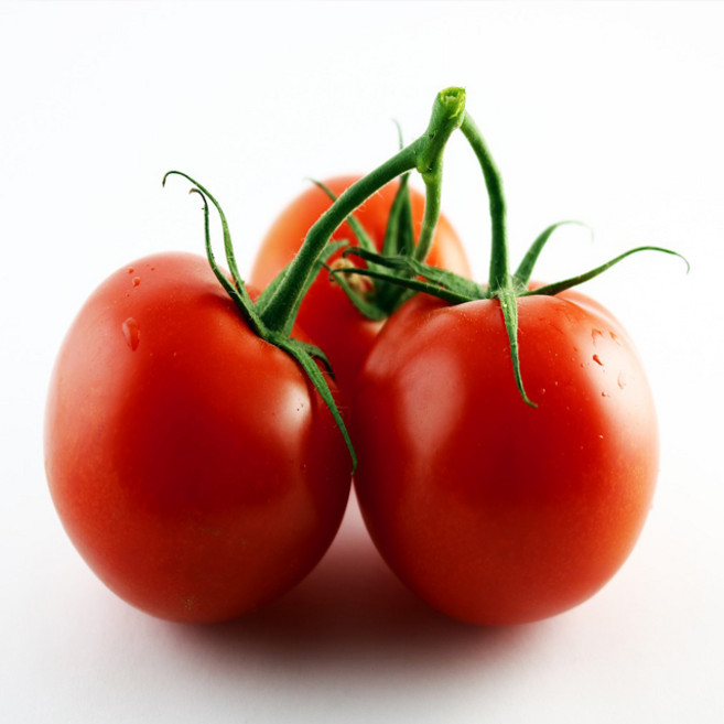 신선하고 빨간 완숙 토마토 5kg 서양종, 1박스, 5kg(4~5번) 소