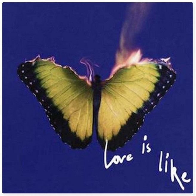 [CD] Maroon 5 (마룬 파이브) - 8집 Love Is Like