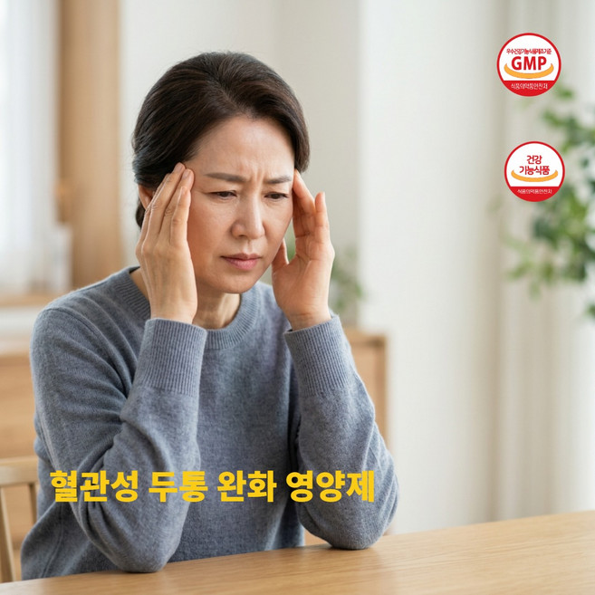 혈관성 두통 은행잎징코 혈행 케어 영양제, 1개, 60정