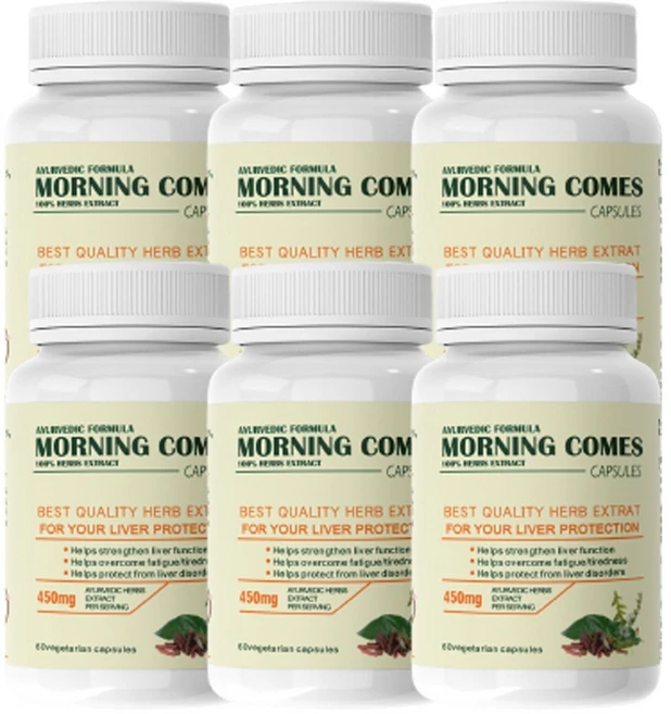 인도 모닝컴스 간 영양제 히말라야 간약 60정x1통, 60정, 6개 - 쿠팡