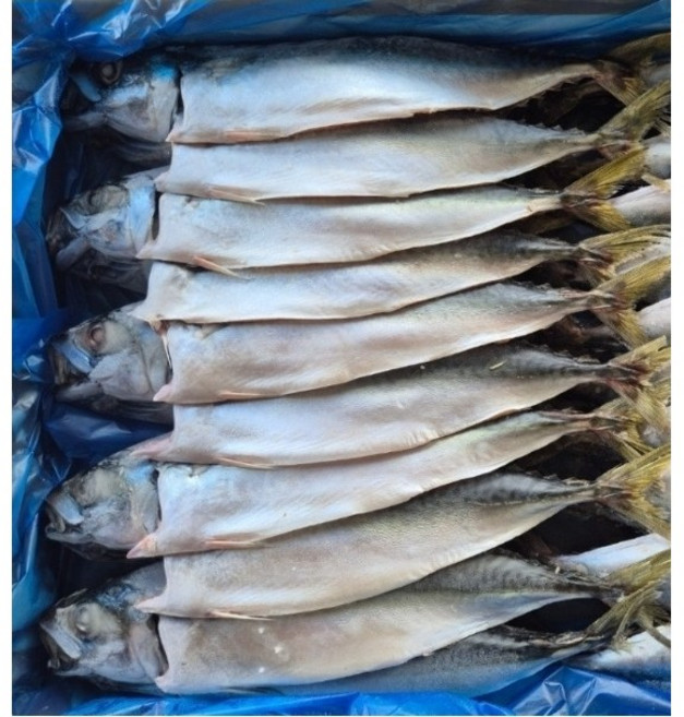 맛있는 국산 자반 간고등어 10마리, 1개, 2.2kg~2.3kg