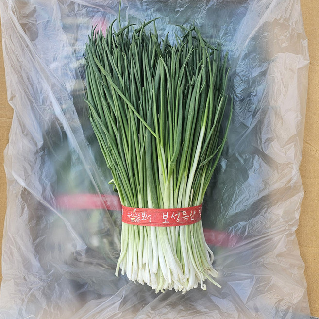 클릭마켓 최상급 해풍 맞은 보성 깐쪽파 1단 잔파 실파, 2개, 900g