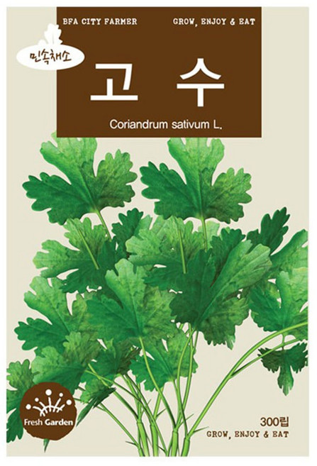 고수 씨앗 고수씨 300립, 2개