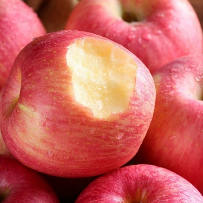 [꿀과즙] 아삭한 문경사과 50박스한정 산지직송, 1개, 5kg