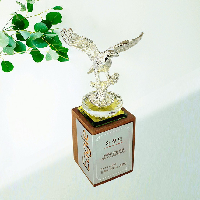 골프트로피 골프이글패 이글패 이글트로피 이글기념패 홀인원트로피 홀인원패 홀인원기념패 싱글트로피 골프싱글패 TMEG1 TMES1, 1개, TMES1(실버)