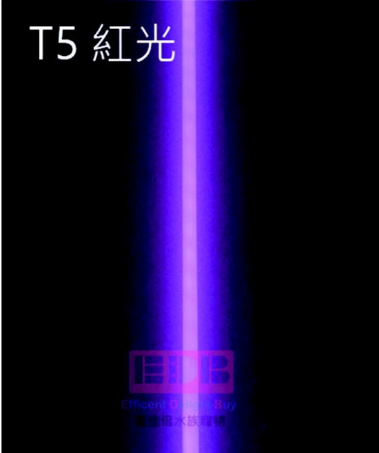 T5 24W/14W/18W/21W 燈管, 1個, T5 He 2尺 14W 紅燈管