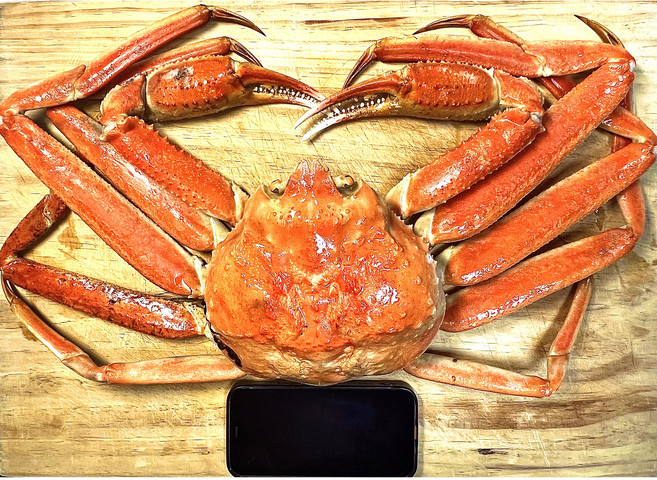 [동해항 당일직송] 90% 이상 수율 특대사이즈 프리미엄 킹크랩 대게, 3kg 내외(킹크랩 1마리), 1개