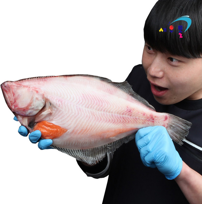 -60도 동해 손질 홍가자미 적가자미 단맛과 단백한 고급 어종, 1개, 1마리(대)300-400g