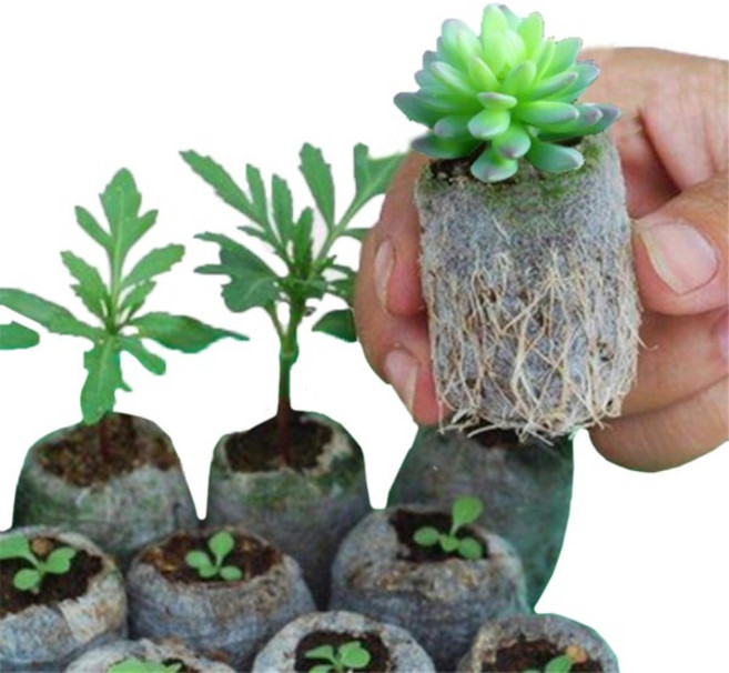 부직포 파종 가방 생분해 재배 모종 발아 화분 80x100mm 100 개