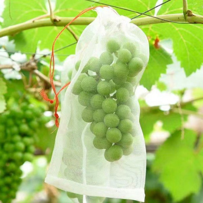 다스몰 메쉬 해충방지 과수봉지 과수원 사과 배 포도 보호주머니 과일 보호망, 50개, 화이트
