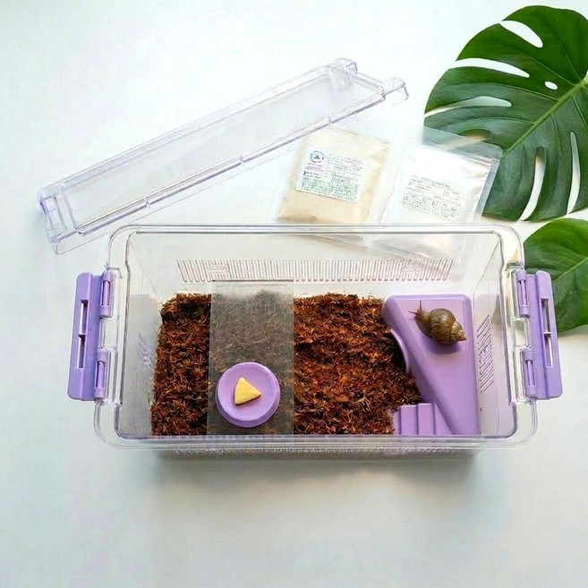 조이 클린케이지 달팽이 키우기 5가지 색깔 에디션 중형 세트, 1개, 퍼플 중형