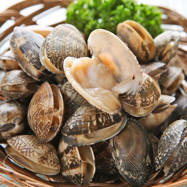 [고흥직송] 통통하고 쫄깃한 제철 생바지락 깐바지락살, 1개, 생바지락 1kg