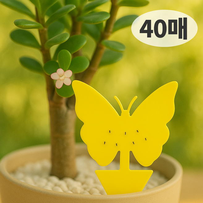 올릭 초파리 트랩 날파리 파리 끈끈이, 40개, 3g