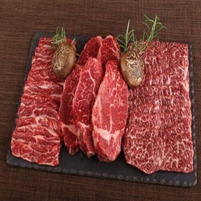 엘에스푸드 한우 구이용 스테이크 2~3등급 모듬 저지방 꽃등심 차돌박이 갈비살 부채살 치마살 제비추리 300g, 1개