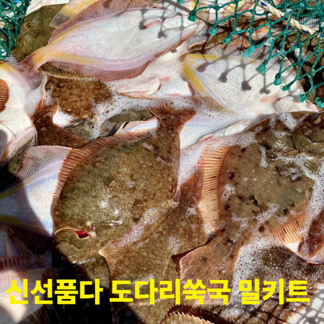 신선품다 도다리쑥국 밀키트 자연산 도다리 완전손질 야채포함 봄도다리 쑥국, 3개, 800g
