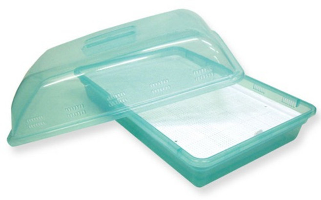 다농 새싹재배기(중) 새싹새론무 + 새싹유채 서비스, 1개