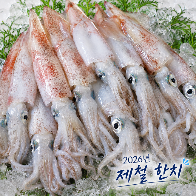 [제철해산물] No1. 영양듬뿍 자연산 한치, 1박스, 1Kg (14~26미)