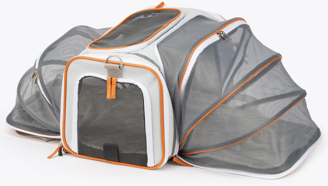 펫셔스 제주도 올인원 얼리버드 기내용 패브릭캐리어 세트, 혼합색상, 1개