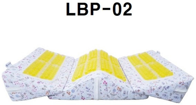 리버텍 고급젤 자세변환용구 건강용품세트 LBP-02, 1세트