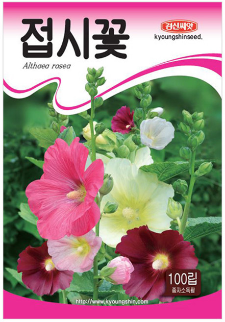 세인화분 접시꽃 100립 - 씨 씨앗 꽃씨, 1개