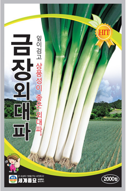 세계종묘 금장외대파 2천립, 10개