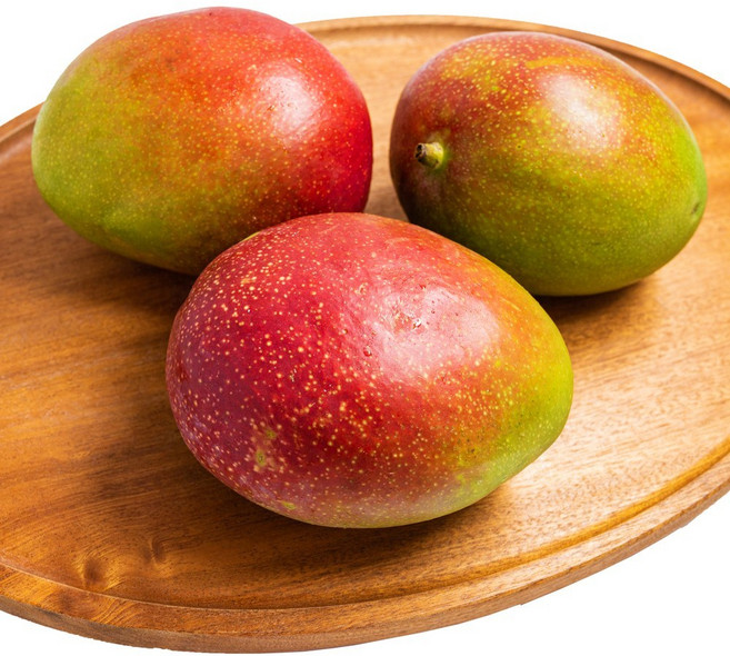 [제주의맛] 최고급 애플망고 산지직송 선물용 가정용, 애플망고 대과 3kg(9~10과), 1개