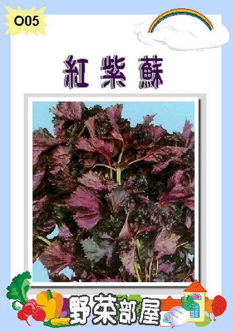 【野菜部屋】O05 紅紫蘇種子, 1包