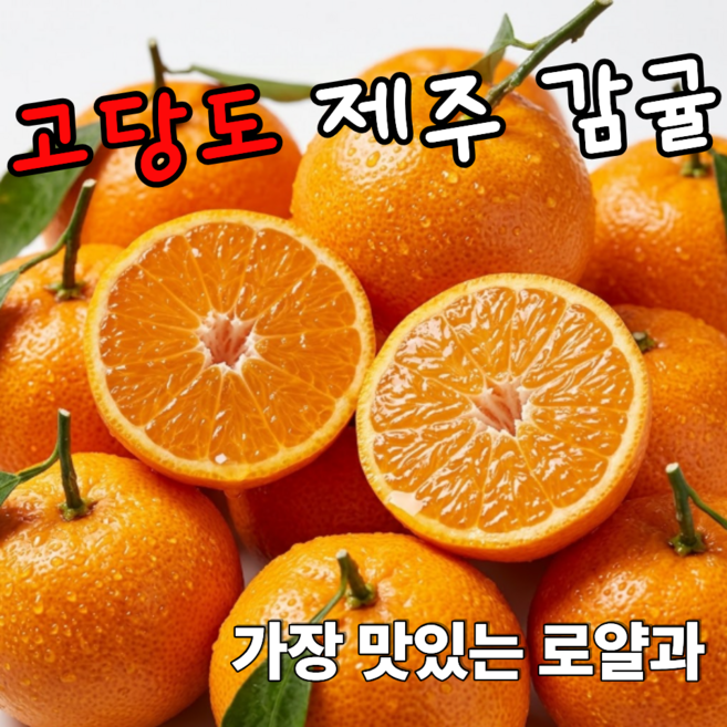 [재구매1위] 제주 감귤 고당도 귤 산지직송, 1박스, 5kg (중대과)