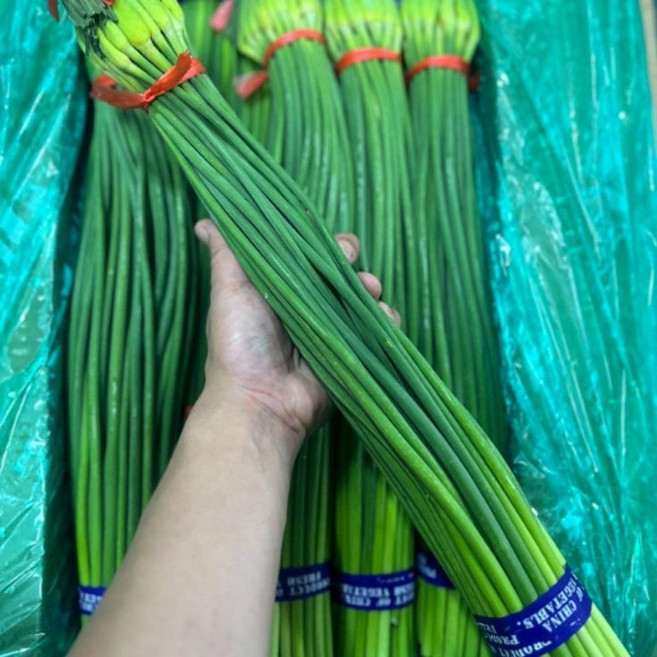 알싸한 신선 마늘쫑 햇마늘쫑 수입산 1kg 2kg 1box, 1개