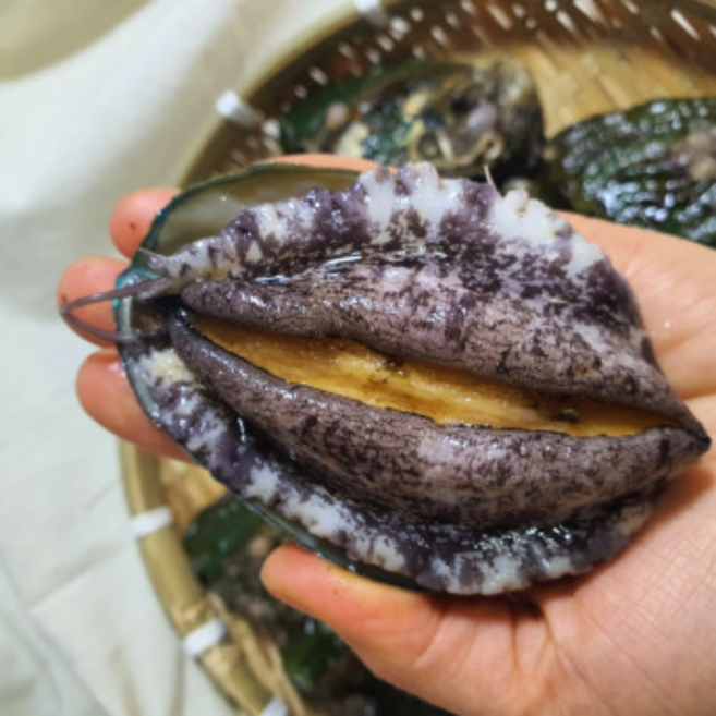 [황제수산]완도 활 전복 산지직송 홈쇼핑 대전복 1kg 10-12미, 1박스