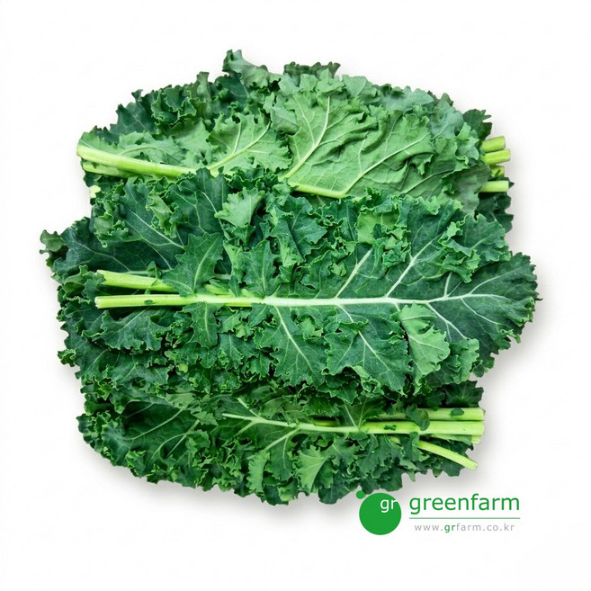 곱슬케일 300g, 1개