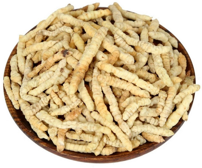 동인당 석잠풀 초석잠, 3개, 500g