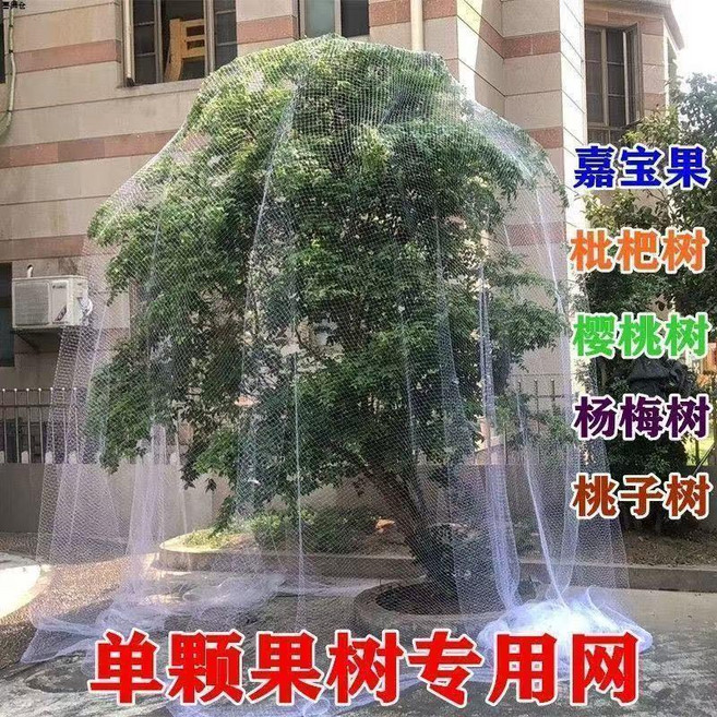 果樹防鳥罩 尼龍防護網 陽臺菜地保護罩, 1個