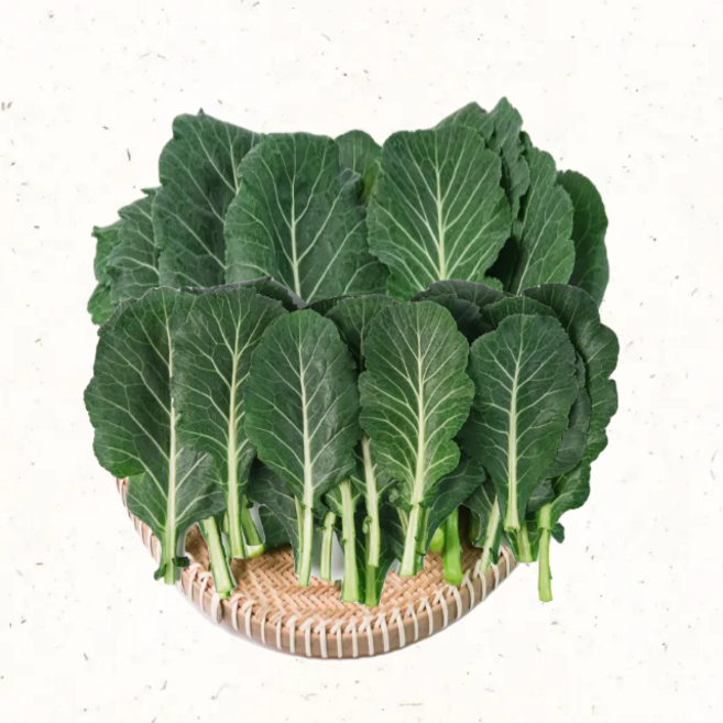 친환경 쌈케일 2kg 신선쌈채소 대용량 산지직송 당일수확, 1개